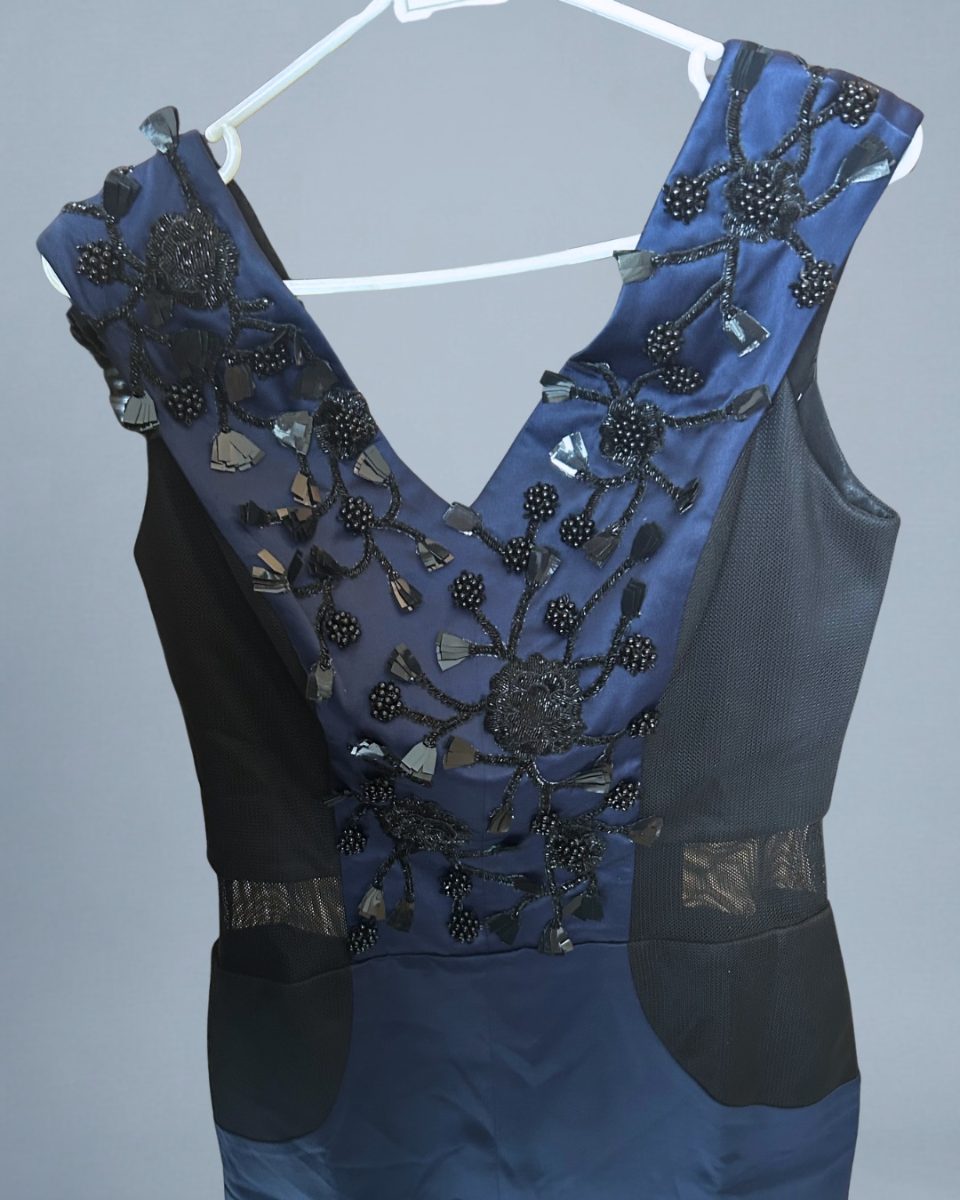 Kashmiraa Navy Dress with Black Beading