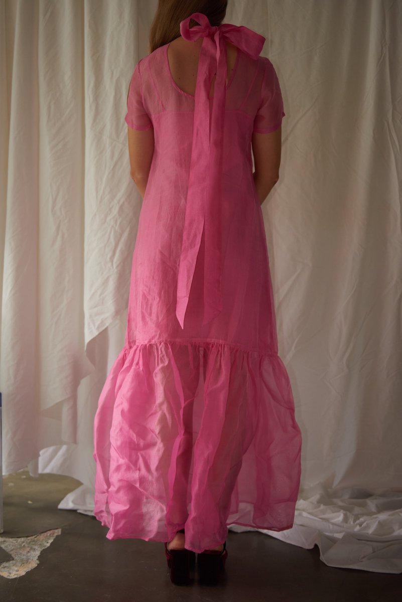 Silk organza sheer dress with slip