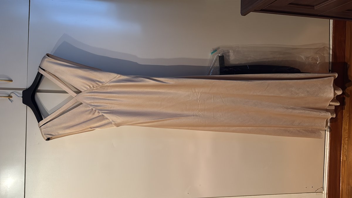 Cerruti Arte Champagne Evening Dress