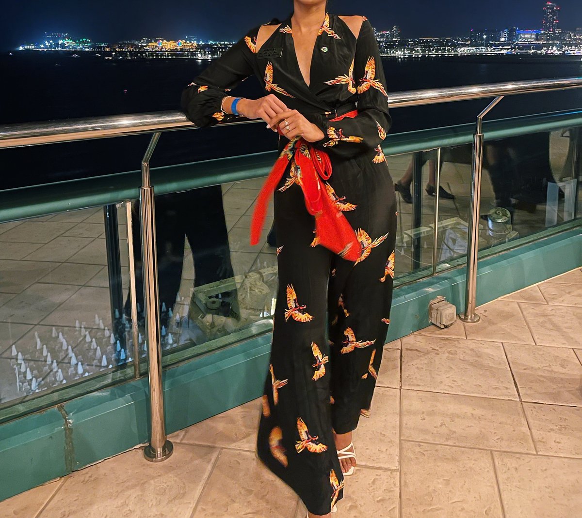 Diane Von Furstenberg, Bird Print Wrap Dress