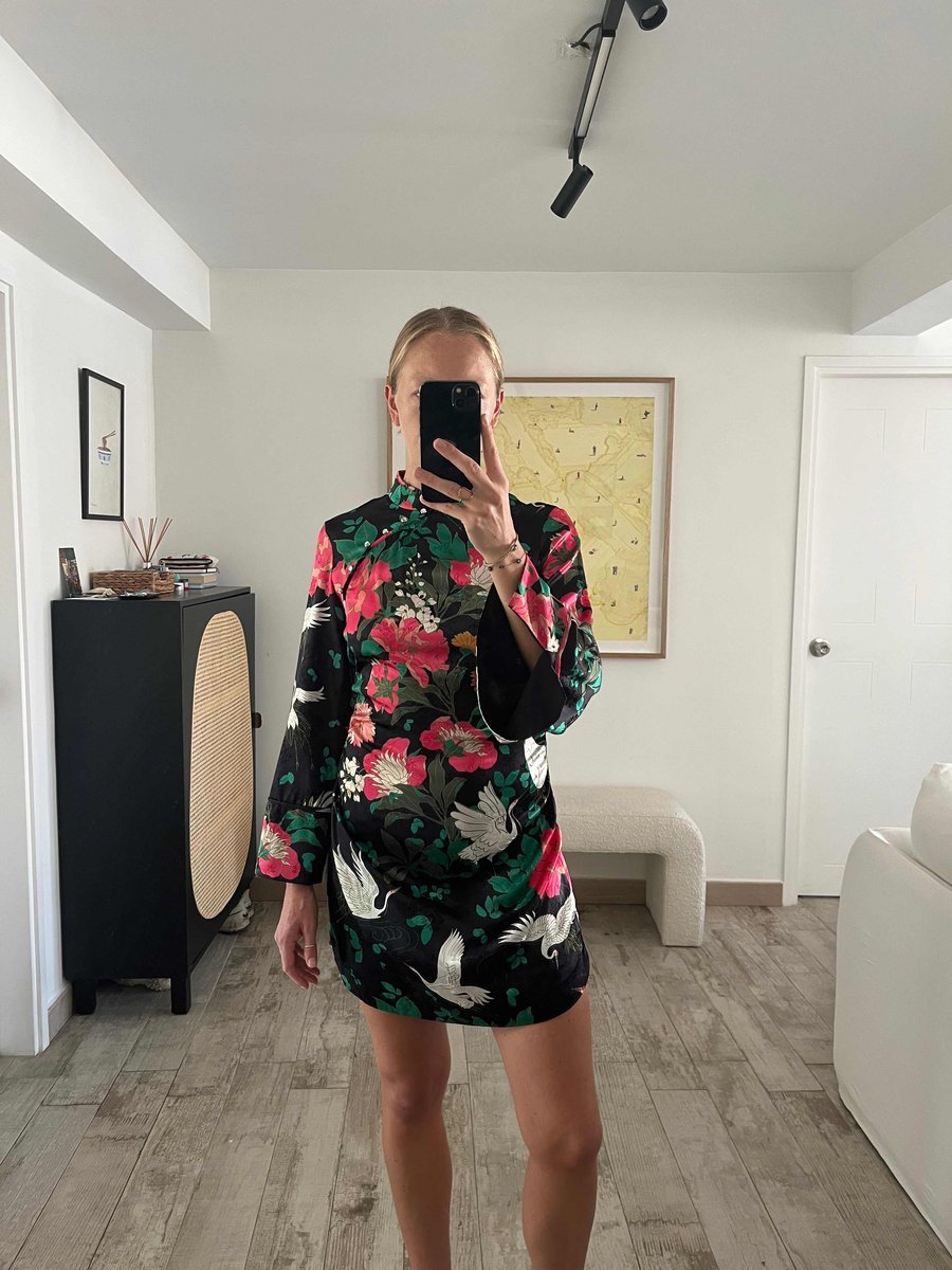 Zara crane-patterned minidress