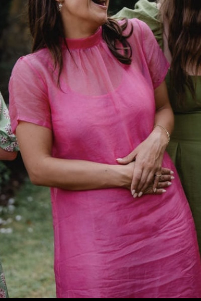 Silk organza sheer dress with slip
