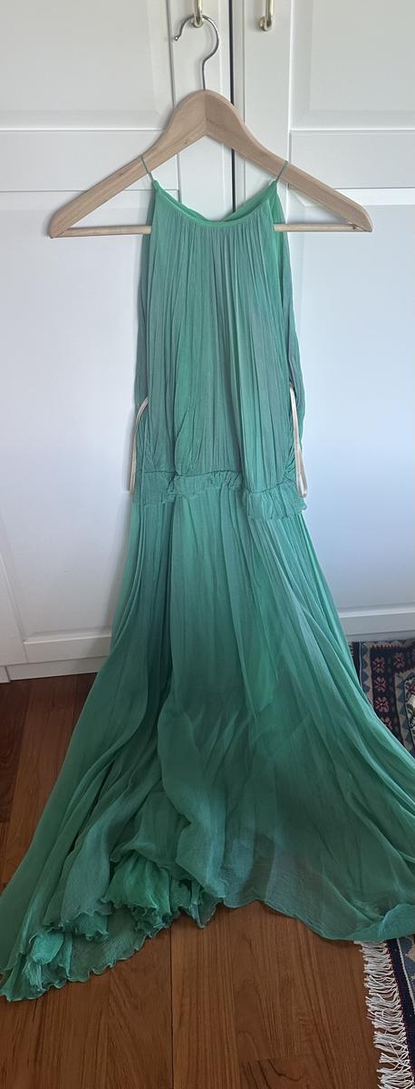 Maria Lucia Hohan dress