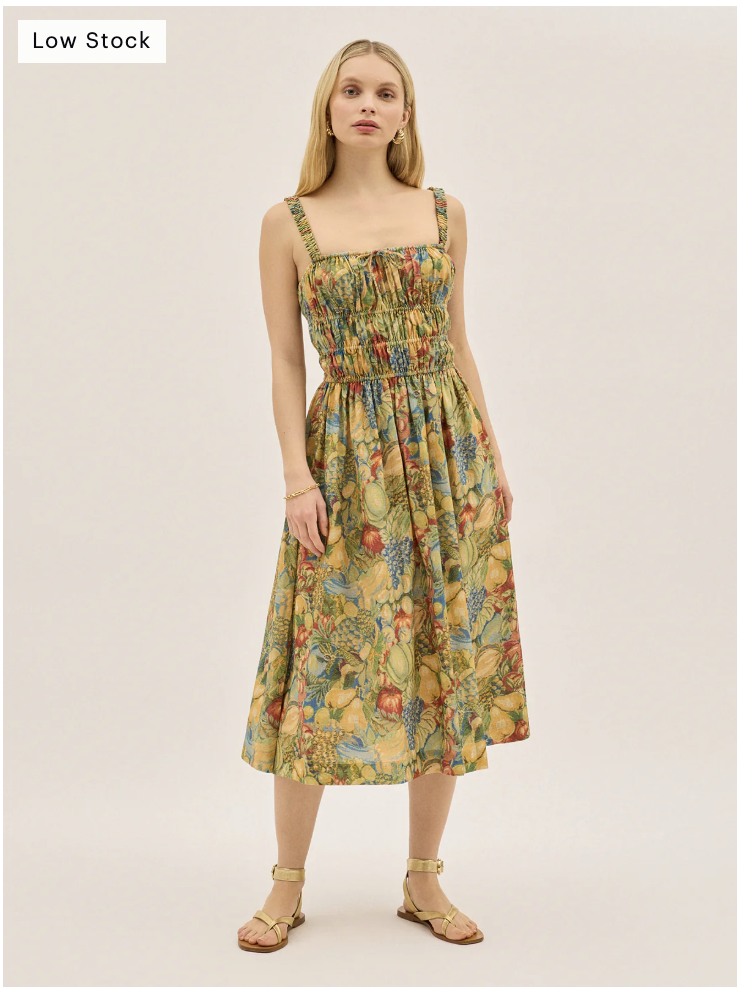 Kitri Arya Fruit Print Linen Blend Dress