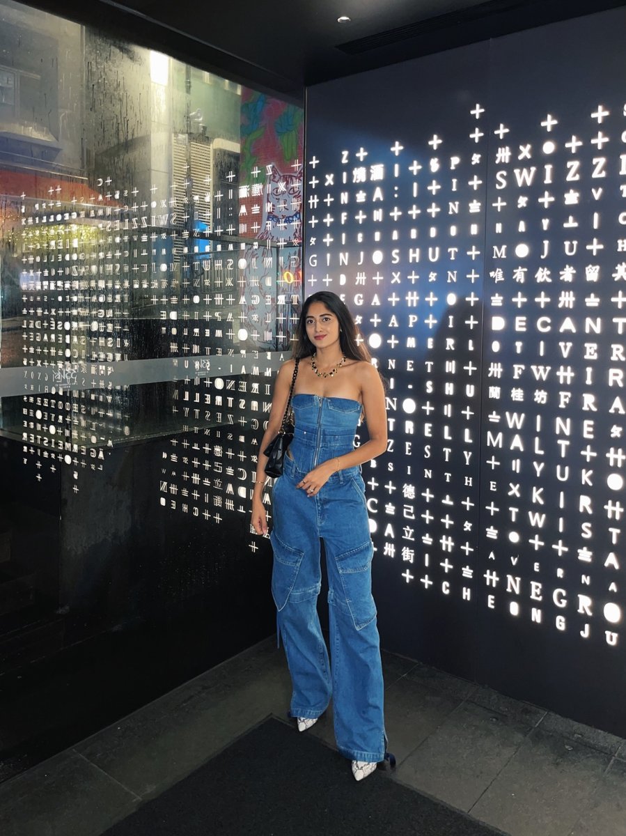 Workwear Denim Corset & Parachute Jeans Set