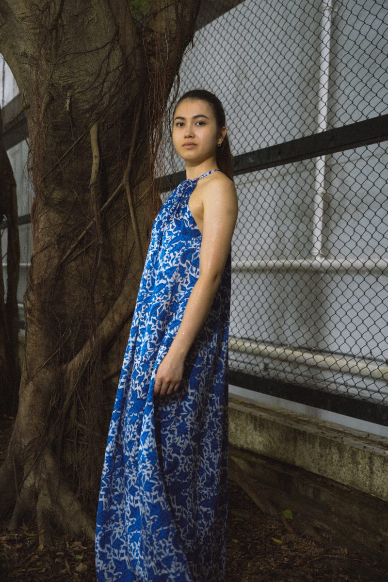 KIRANA SILK DRESS